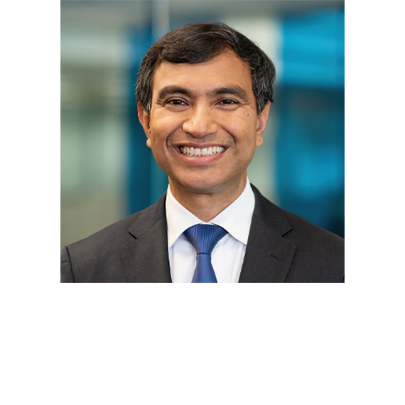 Achin Bhowmik, Ph.D.